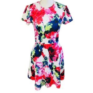 Milly for Design Nation Vibrant Spring Dress Size 4